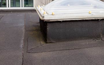 disadvantages of Bicker Bar flat roofs