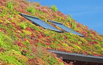Bicker Bar living roof systems